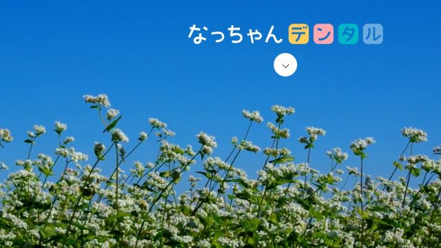 なっちゃんデンタル